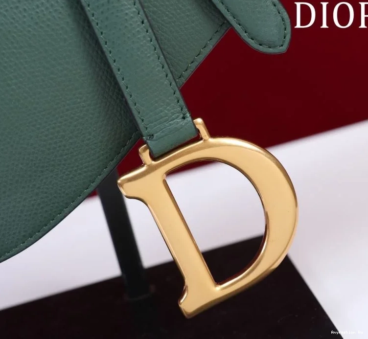 bags Saddle Popular Christian Dior 47224 0804